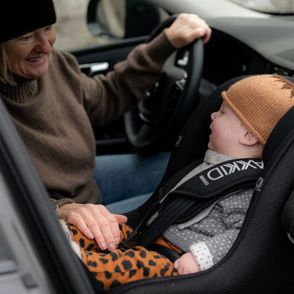 Axkid Minikid Core